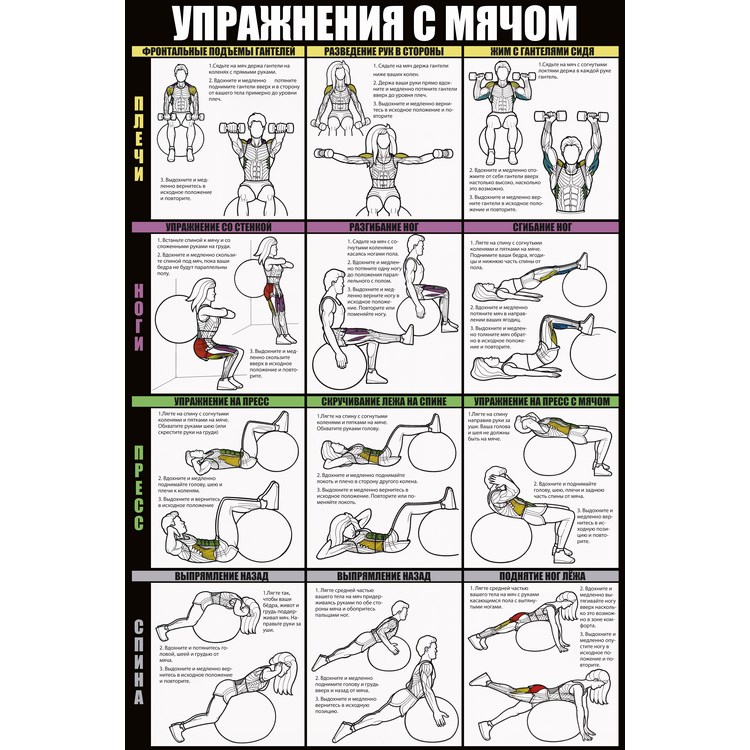 Упражнения для развития мышц языка Упражнения для развития мышц языка